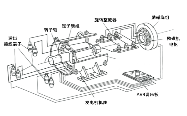 無(wú)刷交流發(fā)電機結構圖.png