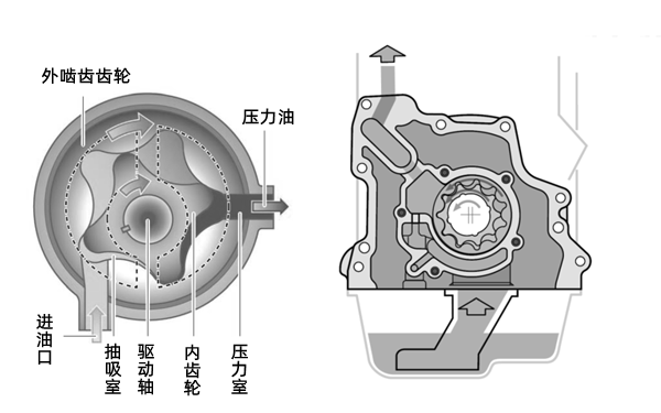 機油泵結構剖面圖-柴油發(fā)電機組.png