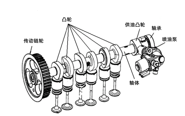 配氣機構之凸輪軸結構圖.png