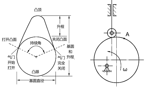 凸輪圖及輪廓線(xiàn).png