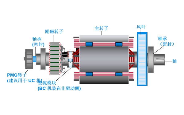 斯坦福發(fā)電機雙軸承轉子總成.png