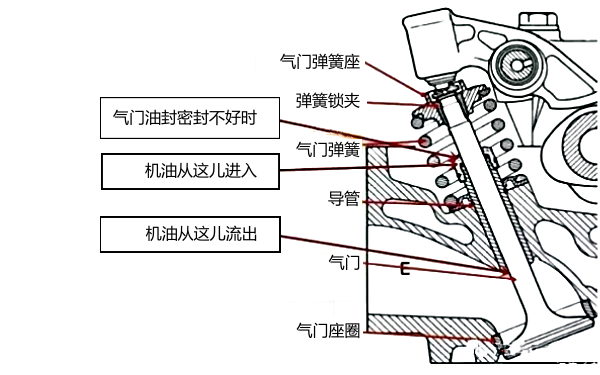 柴油機氣門(mén)油封漏油區域圖.png