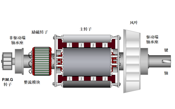 P80發(fā)電機主轉子總成結構圖（雙軸承）.png